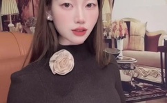 国产在线精品免费AAA片